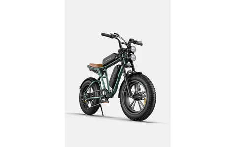 Engwe M20
