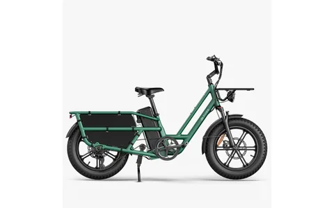 Fiido T2 longtail cargo