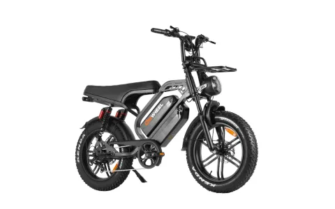QMwheel V20 Limited Pro